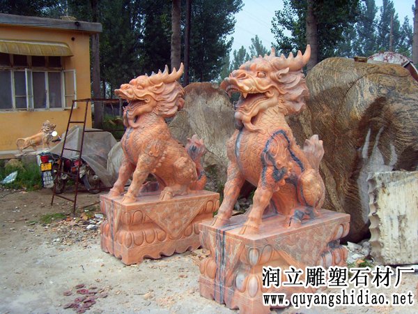 晚霞红麒麟