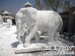 汉白玉大象-曲阳石雕网